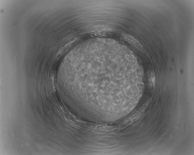 X0000078861060200611271406