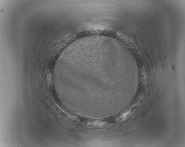 X0000078861061200611271406