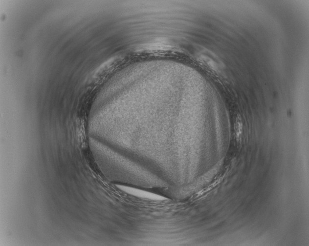 X0000078861062200611271406