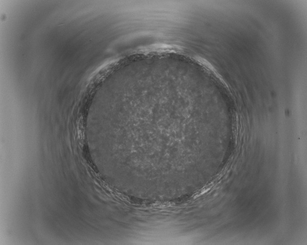 X0000078861063200611271406