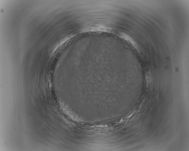 X0000078861064200611271406