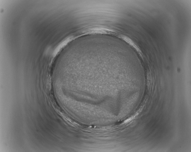 X0000078861067200611271406