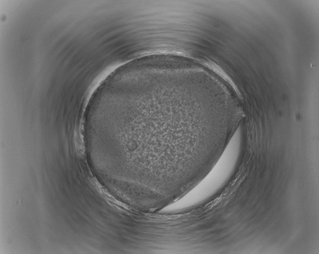 X0000078861068200611271406