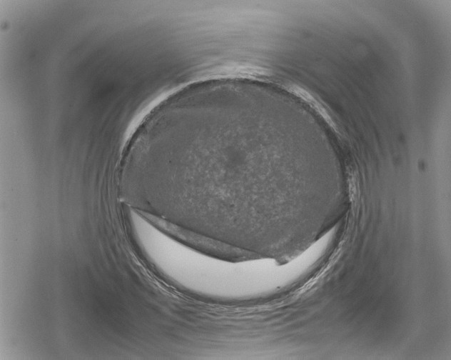 X0000078861069200611271406