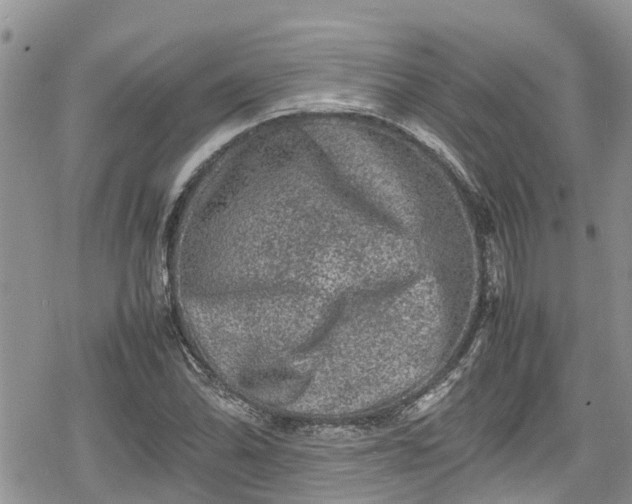 X0000078861070200611271406