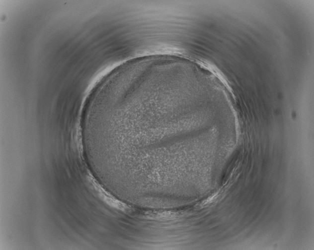 X0000078861072200611271406