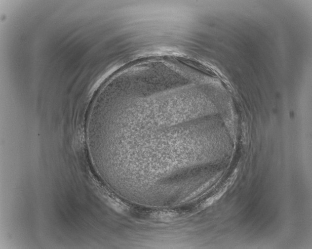 X0000078861073200611271406