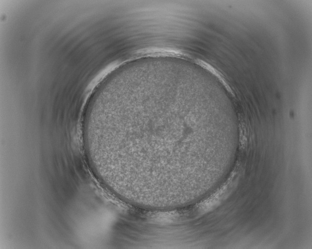 X0000078861074200611271406