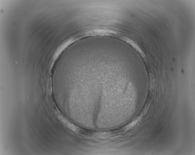 X0000078861075200611271406