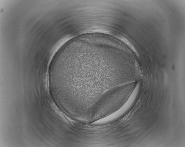 X0000078861076200611271406