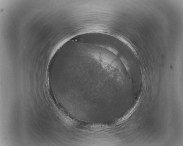 X0000078861077200611271406