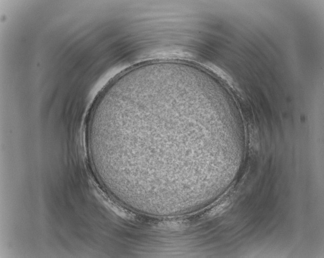 X0000078861078200611271406