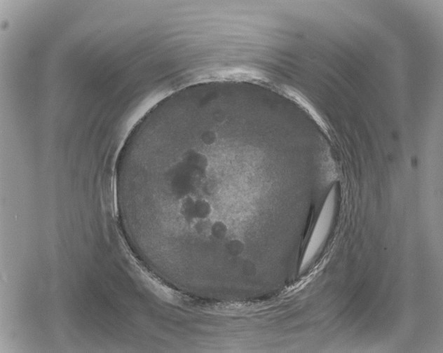 X0000078861079200611271406