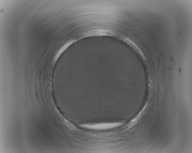 X0000078861081200611271406