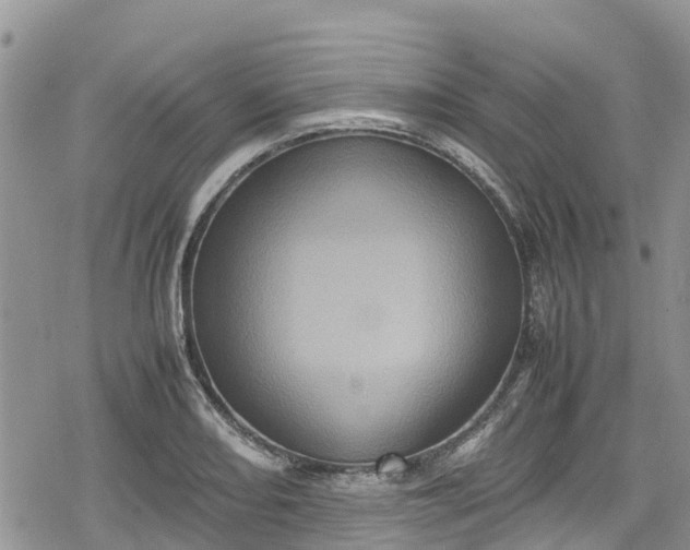 X0000078861082200611271406