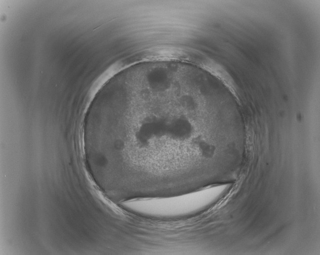 X0000078861083200611271406