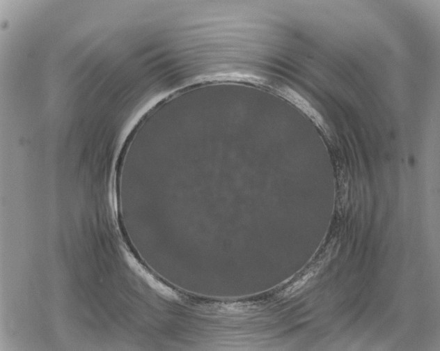 X0000078861084200611271406