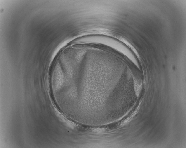 X0000078861085200611271406