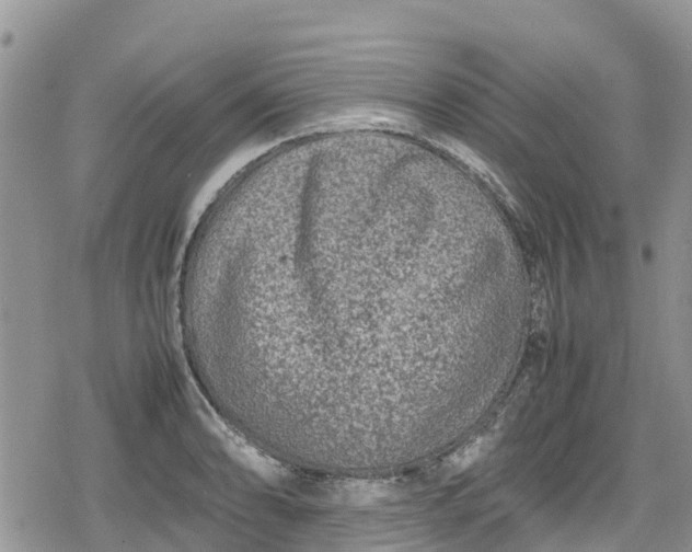 X0000078861086200611271406