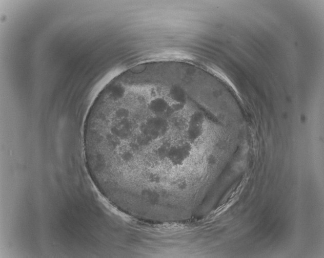 X0000078861087200611271406