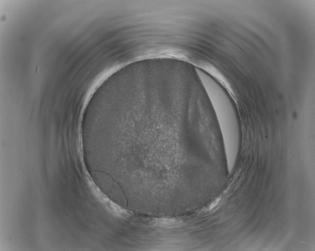 X0000078861088200611271406