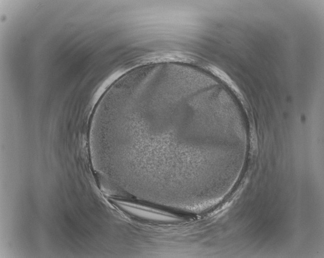 X0000078861089200611271406