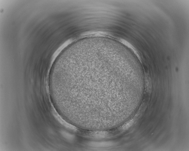 X0000078861090200611271406