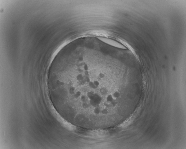 X0000078861091200611271406