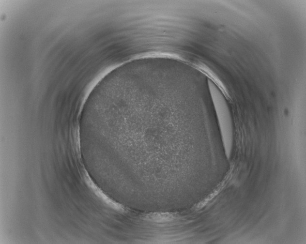 X0000078861092200611271406