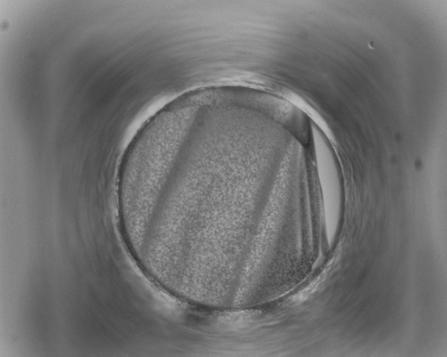 X0000078861093200611271406