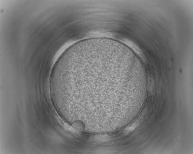 X0000078861094200611271405