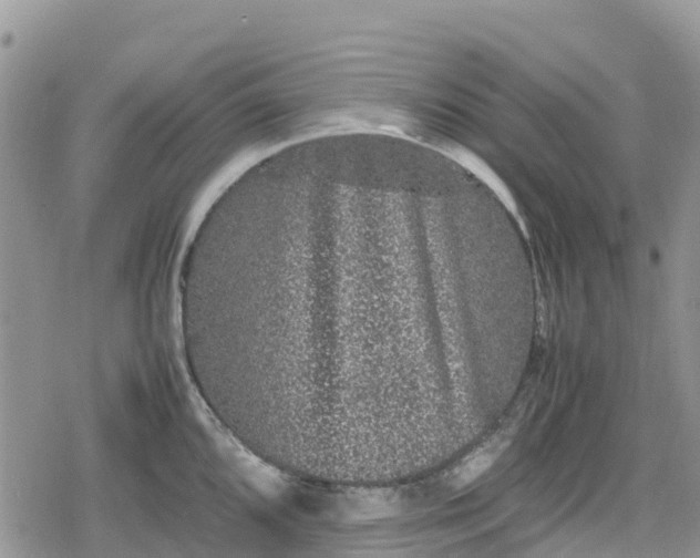 X0000078861096200611271405