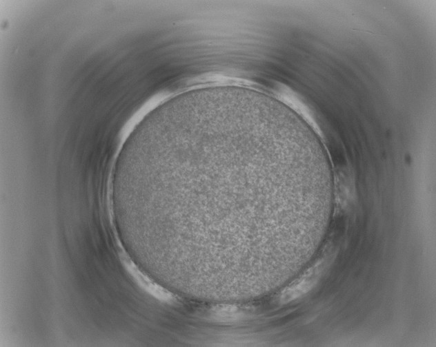 X0000078861098200611271405