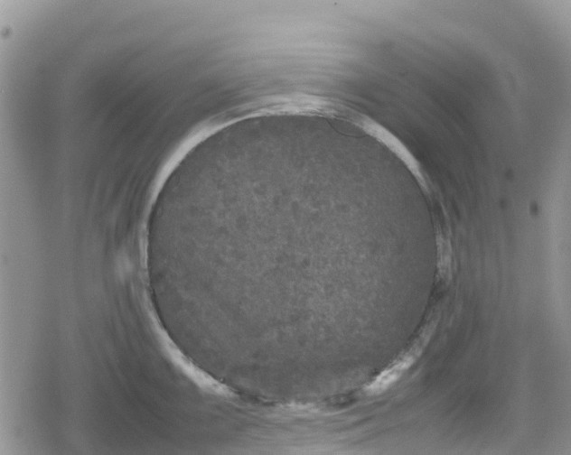 X0000078861099200611271405