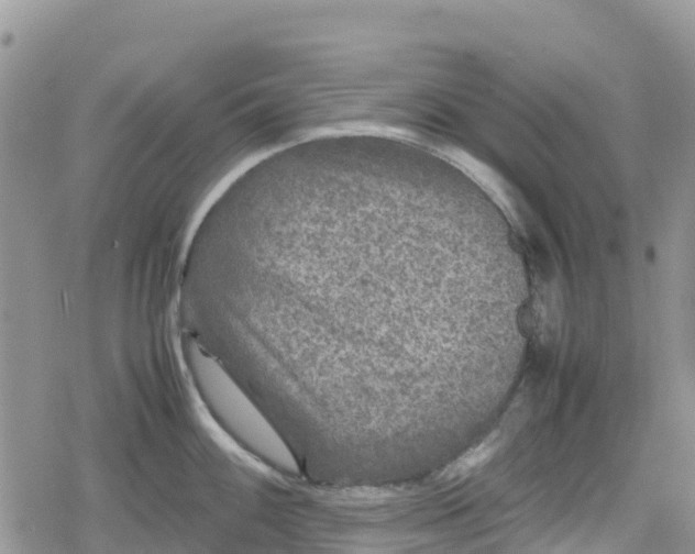 X0000078861100200611271405