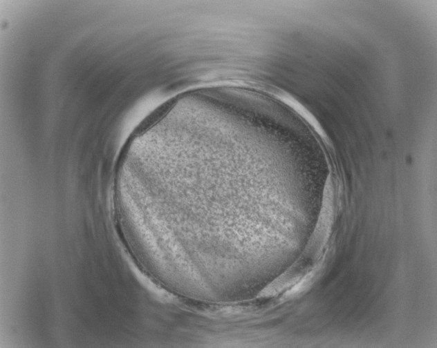 X0000078861101200611271405