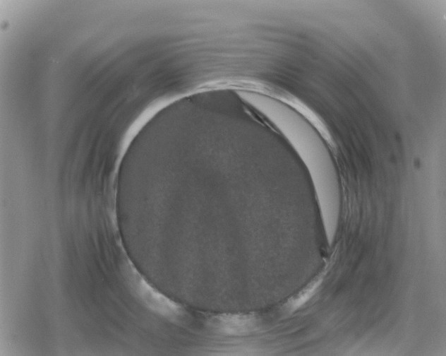 X0000078861102200611271405