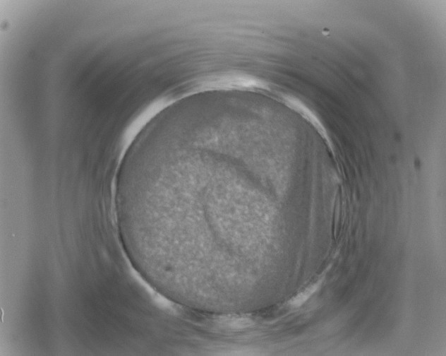 X0000078861103200611271405