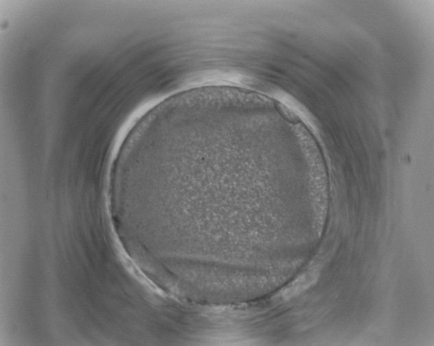 X0000078861104200611271405