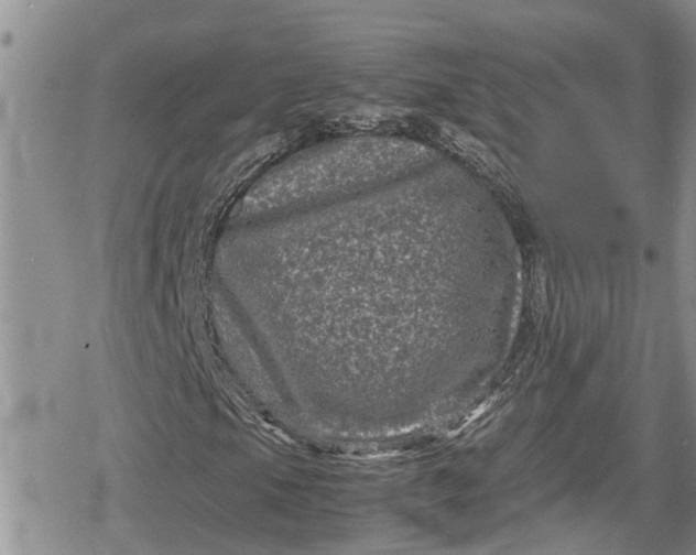 X0000078861105200611271405