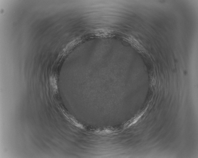 X0000078861106200611271405