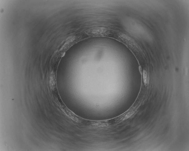 X0000078861107200611271405