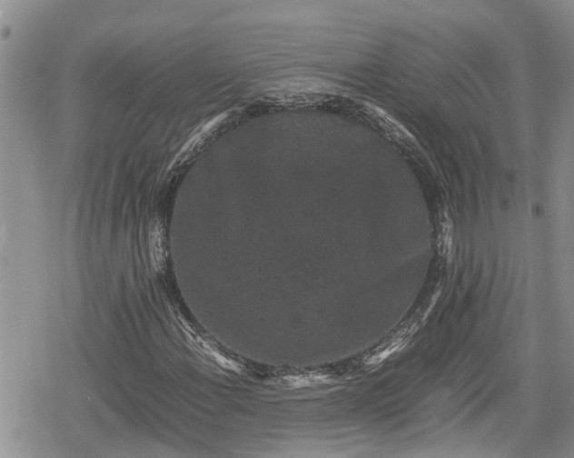 X0000078861108200611271405