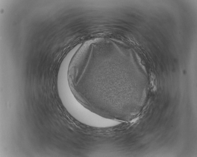 X0000078861109200611271405