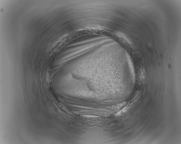 X0000078861110200611271405