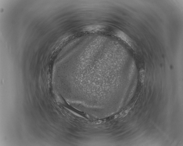 X0000078861111200611271405