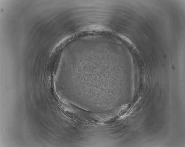 X0000078861112200611271405