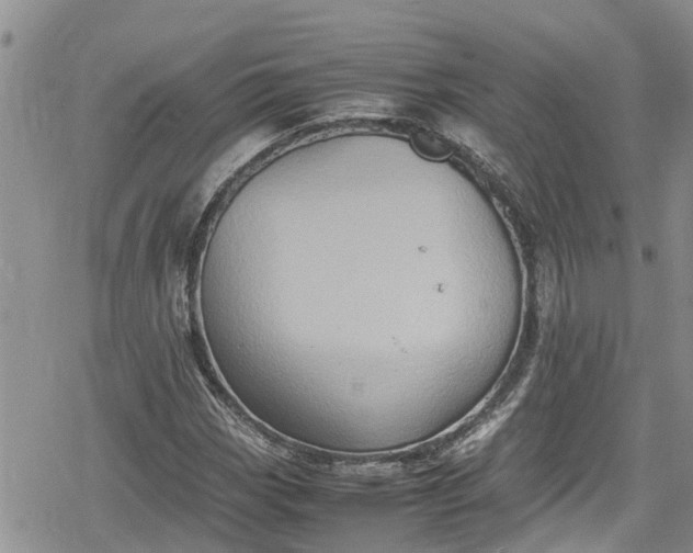 X0000078861113200611271405