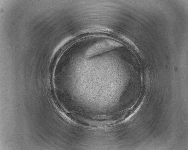 X0000078861114200611271405