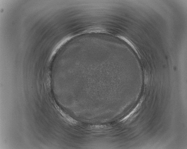 X0000078861115200611271405